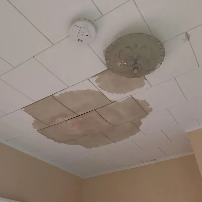 Ceiling Water Damage Repair in Warren Township, NJ