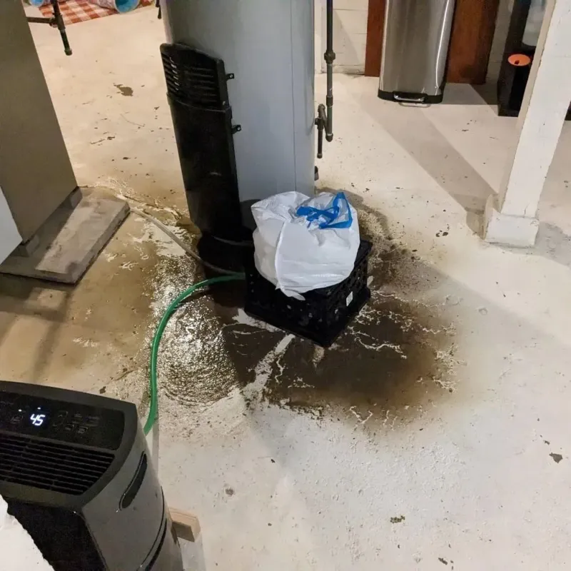 Sewage Backup Cleanup Service in Warren Township, NJ